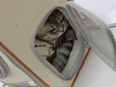 -小伙伴宠物医院•急重症转诊中心·老年专科·犬猫全科(北大街总院)