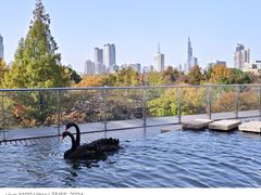 -行者书屋大堂吧 ·下午茶(南京圣和府邸酒店)