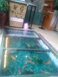 -MG Style Salon