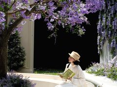 -宝藏绿洲(万象前海店)