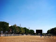 -大连凯洋马术俱乐部有限公司