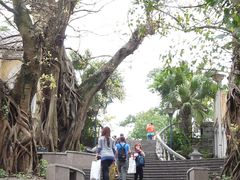 -龙环葡韵住宅式博物馆