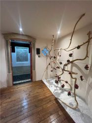 -星河湾酒店·宴会厅(番禺大道北店)