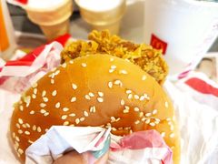 麦辣鸡腿堡鸡翅餐-麦当劳(军博店)