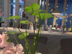 -春树下·树屋花房西餐厅(罍街AS1980店)