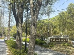 -东明山森林公园