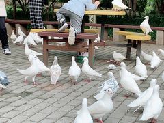 -赭山公园
