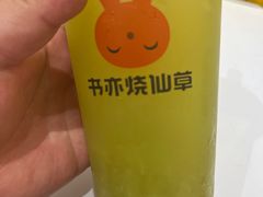 -书亦烧仙草(德州澳德乐店)