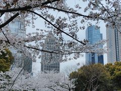 -陆家嘴中心绿地