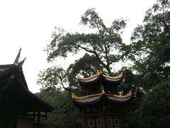 -峨眉山报国寺