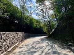 -北京西山国家森林公园