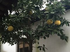 湖鲜楼-湖鲜楼