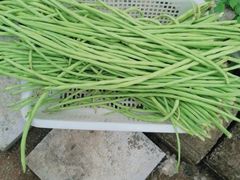 -谭家菜农夫山庄
