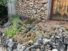 -玉湖村