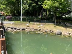 -苏州香山国际大酒店