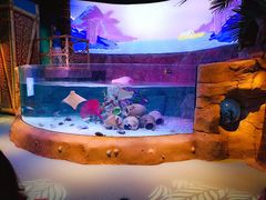 -沈阳海洋探索中心