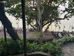 -卷心菜和避孕套餐厅(Pattaya)
