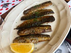 -TOMATITO(无限极荟店)