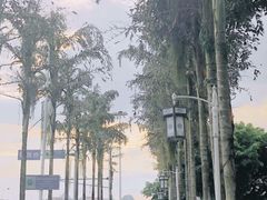 -老东江米粉