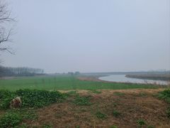 -杏花村文化旅游区