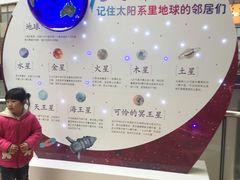 -紫荆广场·花漫里