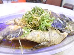 葱姜蒸老虎斑-旅南活海鲜-屏东(墾丁海鮮，海鮮餐廳，墾丁團體合菜，平價熱炒，墾丁熱炒店，活海鮮推薦，在地海鮮餐廳)