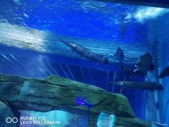 -石家庄海洋公园