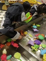 -MELAND CLUB亲子乐园·派对·餐厅(北京芳圆里ID MALL店)