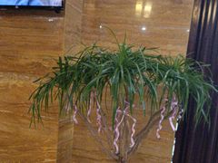 -益健·足疗汗蒸SPA(芙蓉广场店)