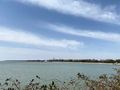 -贡湖湾湿地公园