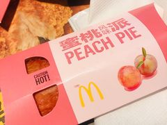 -麦当劳(花园北路店)