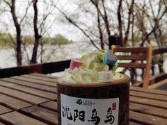 -沈阳鸟岛