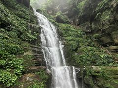 -碧峰峡风景区