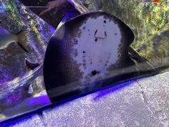 -沈阳海洋探索中心