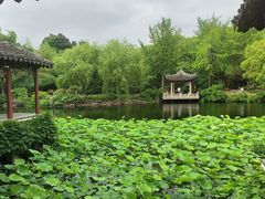 -南园(太仓市)
