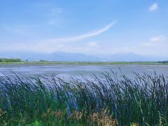 -野鸭湖国家湿地公园