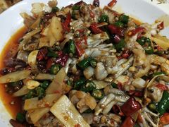 子姜蛙-呱呱兔庄