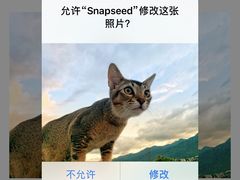 -喵屿·大理花园猫咖