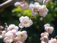 -草庵摩尼教遗址公园