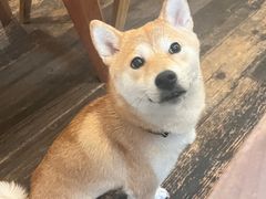 -三目仓咖啡(贤南路店)
