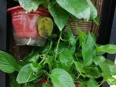 -南京大学-第9食堂