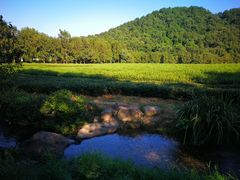 -中国茶叶博物馆(双峰馆区)