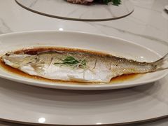 -中国饭店-餐厅