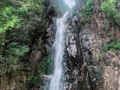 -姑婆山旅游区