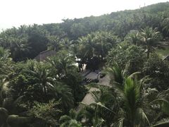 -三亚湾海居铂尔曼度假酒店