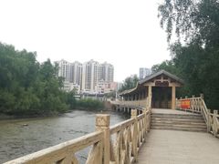 -大亚湾红树林城市湿地公园
