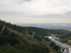-大青山野生动物园