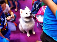 iphone_upload_pic-东浩兰生上海世博展览馆