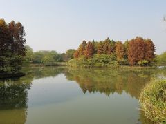 -梁鸿国家湿地公园