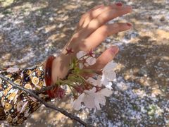 -中国海洋大学（崂山校区）-图书馆